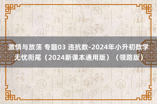 激情与放荡 专题03 违抗数-2024年小升初数学无忧衔尾（2024新课本通用版）（领路版）