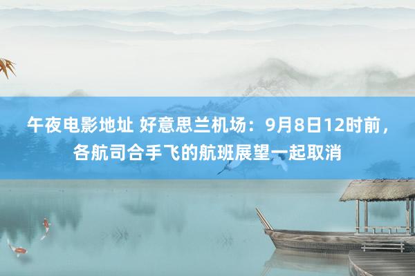 午夜电影地址 好意思兰机场：9月8日12时前，各航司合手飞的航班展望一起取消