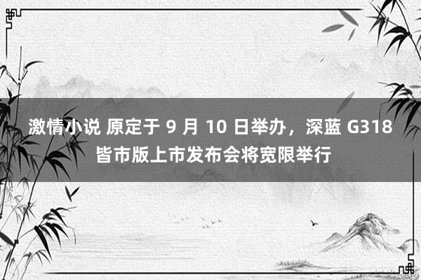 激情小说 原定于 9 月 10 日举办，深蓝 G318 皆市版上市发布会将宽限举行