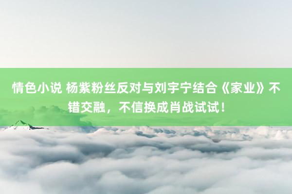 情色小说 杨紫粉丝反对与刘宇宁结合《家业》不错交融，不信换成肖战试试！