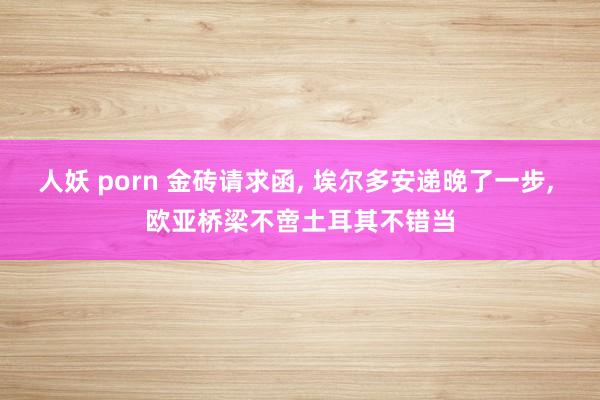 人妖 porn 金砖请求函， 埃尔多安递晚了一步， 欧亚桥梁不啻土耳其不错当