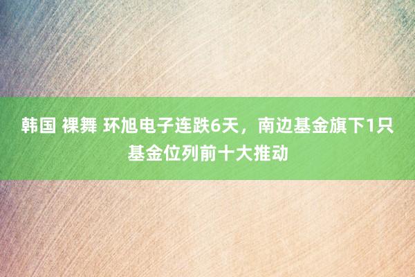 韩国 裸舞 环旭电子连跌6天，南边基金旗下1只基金位列前十大推动