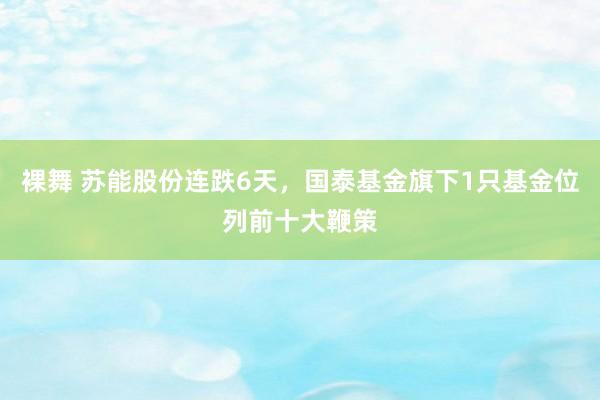 裸舞 苏能股份连跌6天，国泰基金旗下1只基金位列前十大鞭策