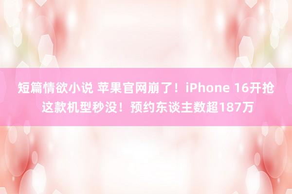 短篇情欲小说 苹果官网崩了！iPhone 16开抢 这款机型秒没！预约东谈主数超187万