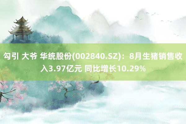 勾引 大爷 华统股份(002840.SZ)：8月生猪销售收入3.97亿元 同比增长10.29%