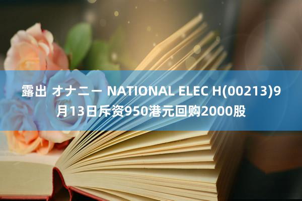 露出 オナニー NATIONAL ELEC H(00213)9月13日斥资950港元回购2000股