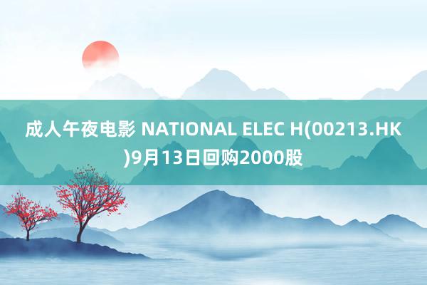 成人午夜电影 NATIONAL ELEC H(00213.HK)9月13日回购2000股