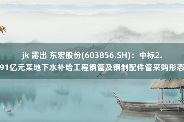 jk 露出 东宏股份(603856.SH)：中标2.91亿元某地下水补给工程钢管及钢制配件管采购形态