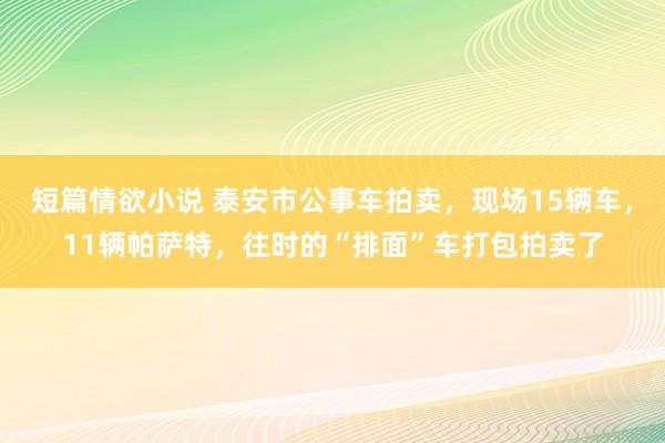 短篇情欲小说 泰安市公事车拍卖，现场15辆车，11辆帕萨特，往时的“排面”车打包拍卖了