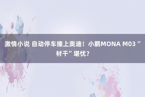 激情小说 自动停车撞上奥迪！小鹏MONA M03“材干”堪忧？