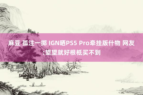 麻豆 孤注一掷 IGN晒PS5 Pro牵挂版什物 网友:望望就好根柢买不到