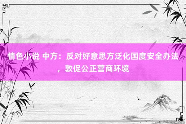 情色小说 中方：反对好意思方泛化国度安全办法，敦促公正营商环境