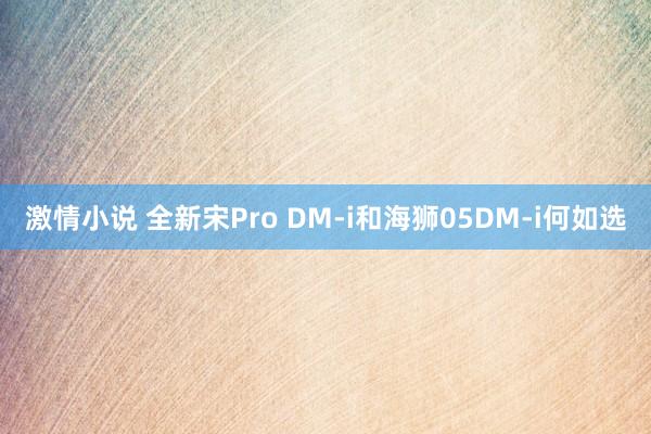 激情小说 全新宋Pro DM-i和海狮05DM-i何如选