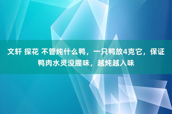 文轩 探花 不管炖什么鸭，一只鸭放4克它，保证鸭肉水灵没腥味，越炖越入味