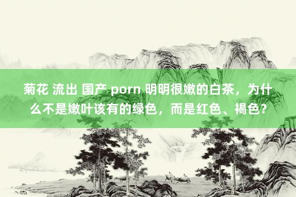 菊花 流出 国产 porn 明明很嫩的白茶，为什么不是嫩叶该有的绿色，而是红色、褐色？