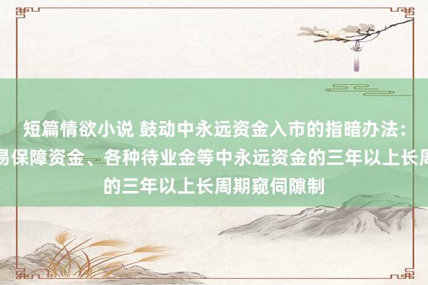 短篇情欲小说 鼓动中永远资金入市的指暗办法：竖立健全交易保障资金、各种待业金等中永远资金的三年以上长周期窥伺隙制