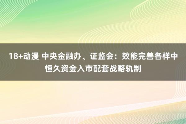 18+动漫 中央金融办、证监会：效能完善各样中恒久资金入市配套战略轨制