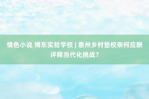 情色小说 博东实验学校 | 惠州乡村塾校奈何应酬评释当代化挑战？