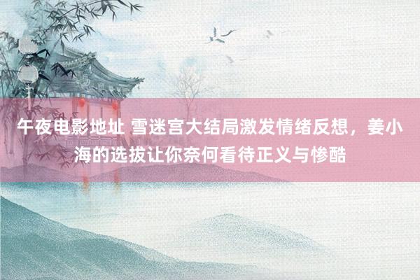 午夜电影地址 雪迷宫大结局激发情绪反想，姜小海的选拔让你奈何看待正义与惨酷