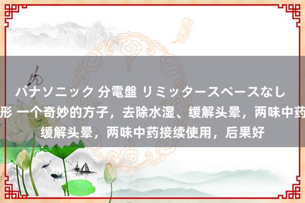 パナソニック 分電盤 リミッタースペースなし 露出・半埋込両用形 一个奇妙的方子，去除水湿、缓解头晕，两味中药接续使用，后果好