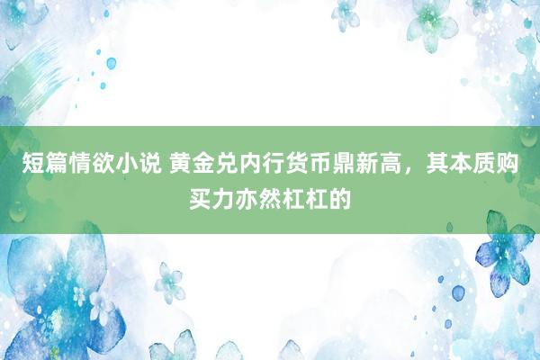 短篇情欲小说 黄金兑内行货币鼎新高，其本质购买力亦然杠杠的