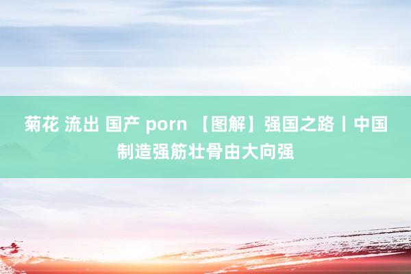 菊花 流出 国产 porn 【图解】强国之路丨中国制造强筋壮骨由大向强