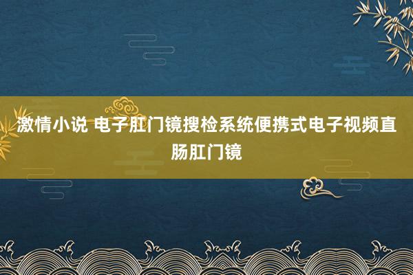 激情小说 电子肛门镜搜检系统便携式电子视频直肠肛门镜