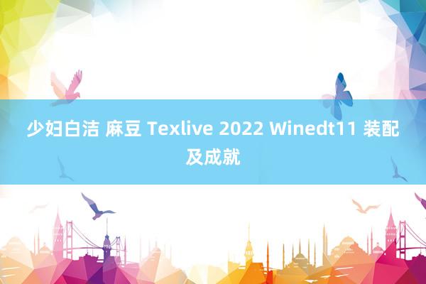 少妇白洁 麻豆 Texlive 2022 Winedt11 装配及成就