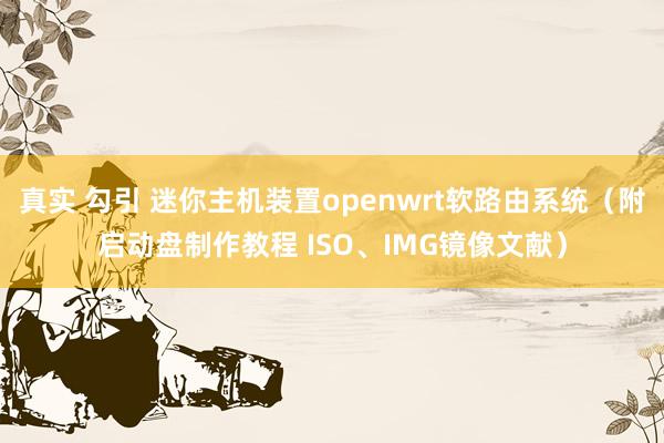 真实 勾引 迷你主机装置openwrt软路由系统（附启动盘制作教程 ISO、IMG镜像文献）