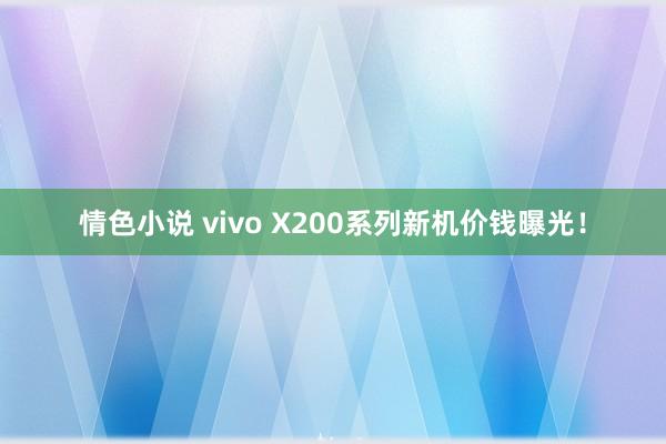 情色小说 vivo X200系列新机价钱曝光！