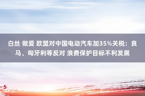 白丝 做爱 欧盟对中国电动汽车加35%关税：良马、匈牙利等反对 浪费保护目标不利发展