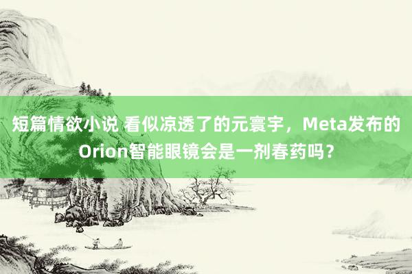 短篇情欲小说 看似凉透了的元寰宇，Meta发布的Orion智能眼镜会是一剂春药吗？