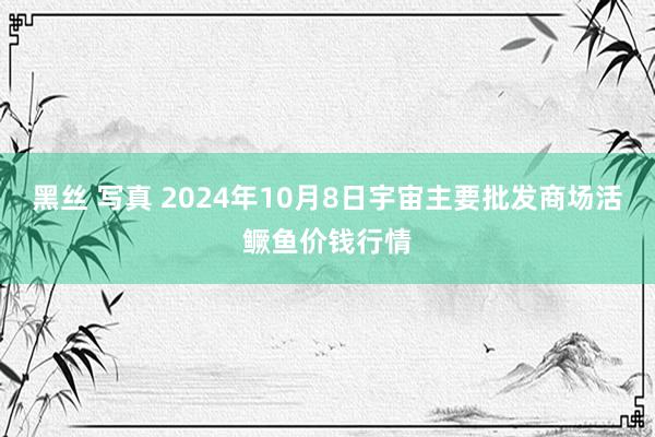 黑丝 写真 2024年10月8日宇宙主要批发商场活鳜鱼价钱行情