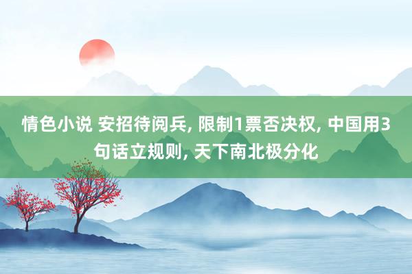 情色小说 安招待阅兵， 限制1票否决权， 中国用3句话立规则， 天下南北极分化