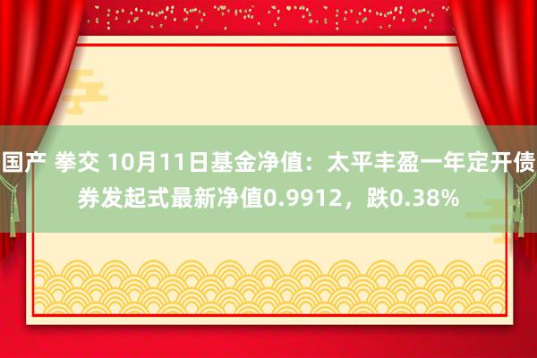 国产 拳交 10月11日基金净值：太平丰盈一年定开债券发起式最新净值0.9912，跌0.38%