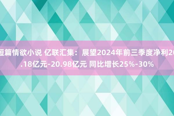 短篇情欲小说 亿联汇集：展望2024年前三季度净利20.18亿元-20.98亿元 同比增长25%-30%