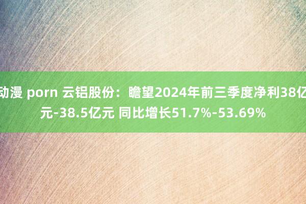 动漫 porn 云铝股份：瞻望2024年前三季度净利38亿元-38.5亿元 同比增长51.7%-53.69%