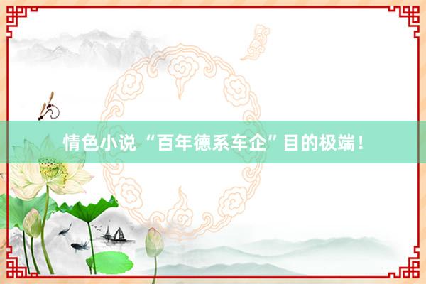 情色小说 “百年德系车企”目的极端！