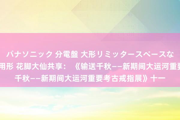 パナソニック 分電盤 大形リミッタースペースなし 露出・半埋込両用形 花脚大仙共享： 《输送千秋——新期间大运河重要考古戒指展》十一