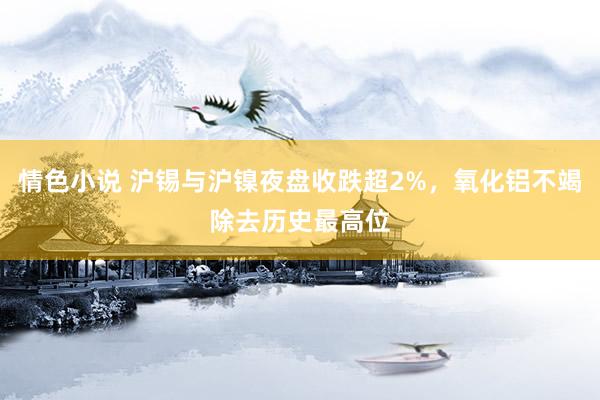 情色小说 沪锡与沪镍夜盘收跌超2%，氧化铝不竭除去历史最高位