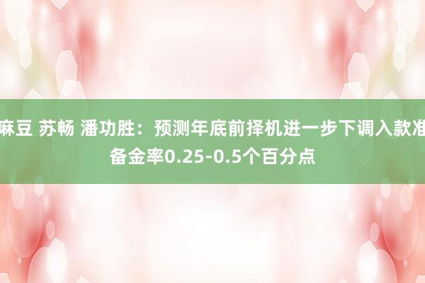 麻豆 苏畅 潘功胜：预测年底前择机进一步下调入款准备金率0.25-0.5个百分点