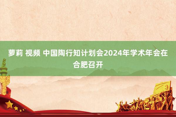 萝莉 视频 中国陶行知计划会2024年学术年会在合肥召开