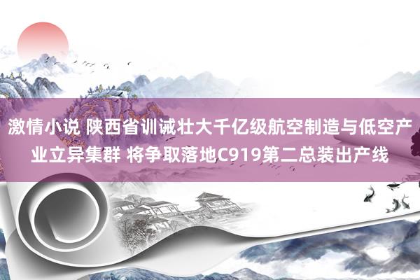 激情小说 陕西省训诫壮大千亿级航空制造与低空产业立异集群 将争取落地C919第二总装出产线