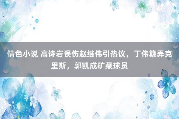 情色小说 高诗岩误伤赵继伟引热议，丁伟簸弄克里斯，郭凯成矿藏球员