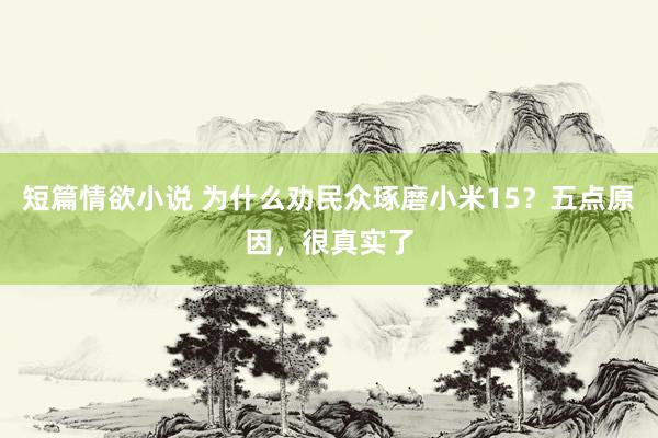 短篇情欲小说 为什么劝民众琢磨小米15？五点原因，很真实了