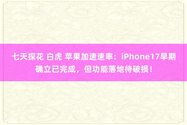 七天探花 白虎 苹果加速速率：iPhone17早期确立已完成，但功能落地待破损！