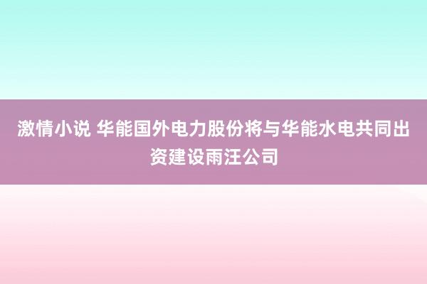 激情小说 华能国外电力股份将与华能水电共同出资建设雨汪公司