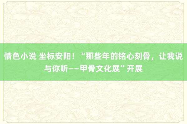 情色小说 坐标安阳！“那些年的铭心刻骨，让我说与你听——甲骨文化展”开展