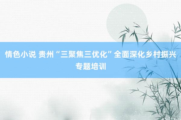 情色小说 贵州“三聚焦三优化”全面深化乡村振兴专题培训