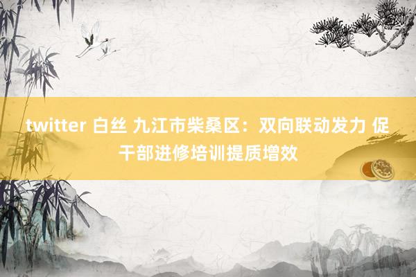 twitter 白丝 九江市柴桑区：双向联动发力 促干部进修培训提质增效